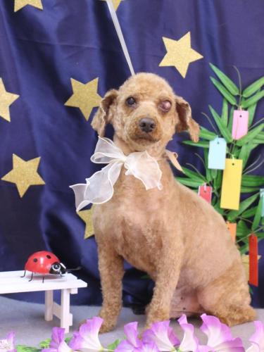 20230704ロンくん